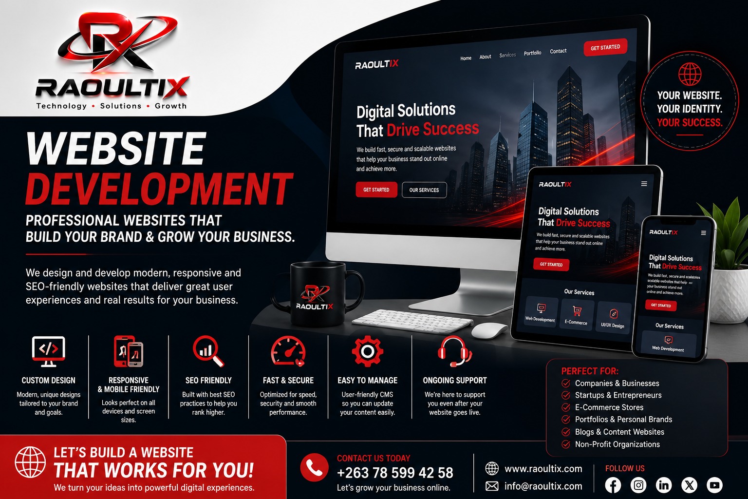 Raoultix website development flyer